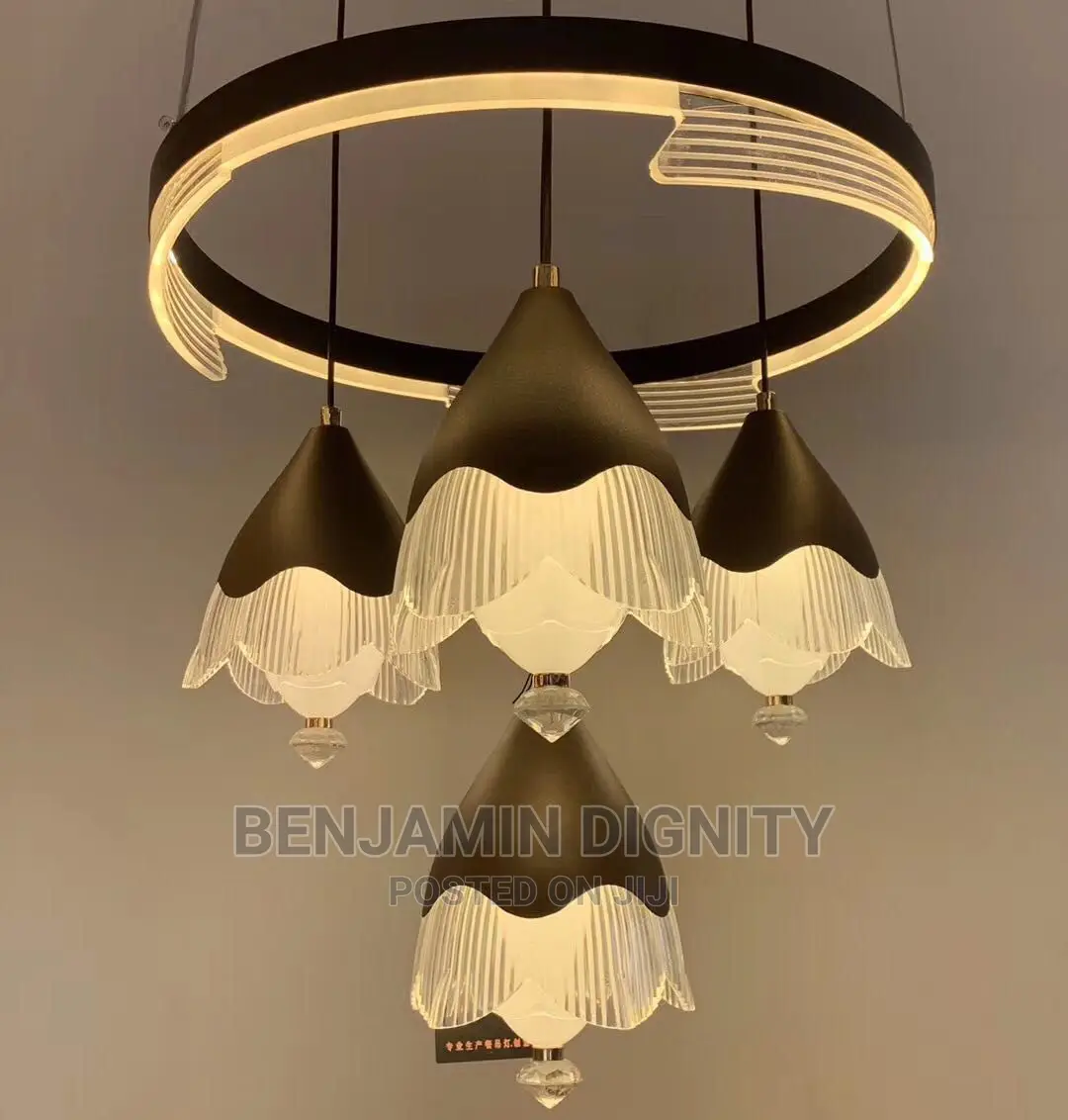 Led Pendant Light