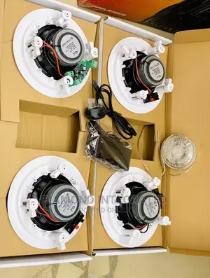 4 in 1 Bluetooth Ceiling Speaker With Accessories