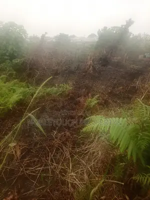30 Acres of Land at Ketu Epe For Sale