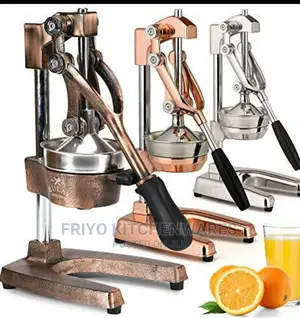 Industrial Juicer