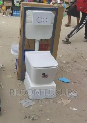 England Wall Hung Conceal Toilet