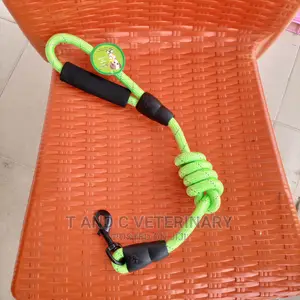 Dog Leash Lead