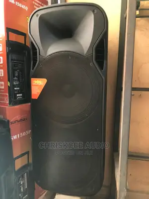 Double 15inches Rechargeable Public Address System