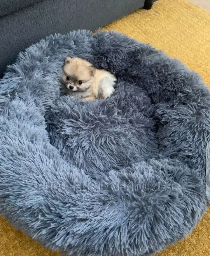 Pet Dog Bed