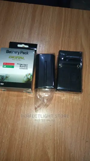 Ring Light Battery And Charger