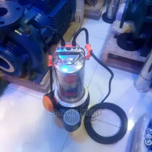 Pedrollo Sewage Pump