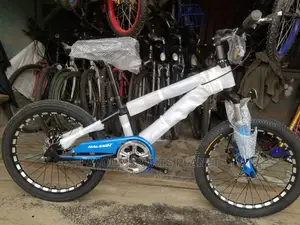Quality Size 24 Raleigh Bicycles Available