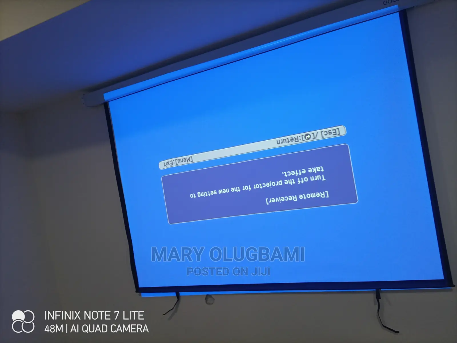 Sharp Epson Projector and Screen