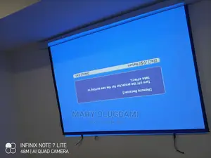 Sharp Epson Projector and Screen