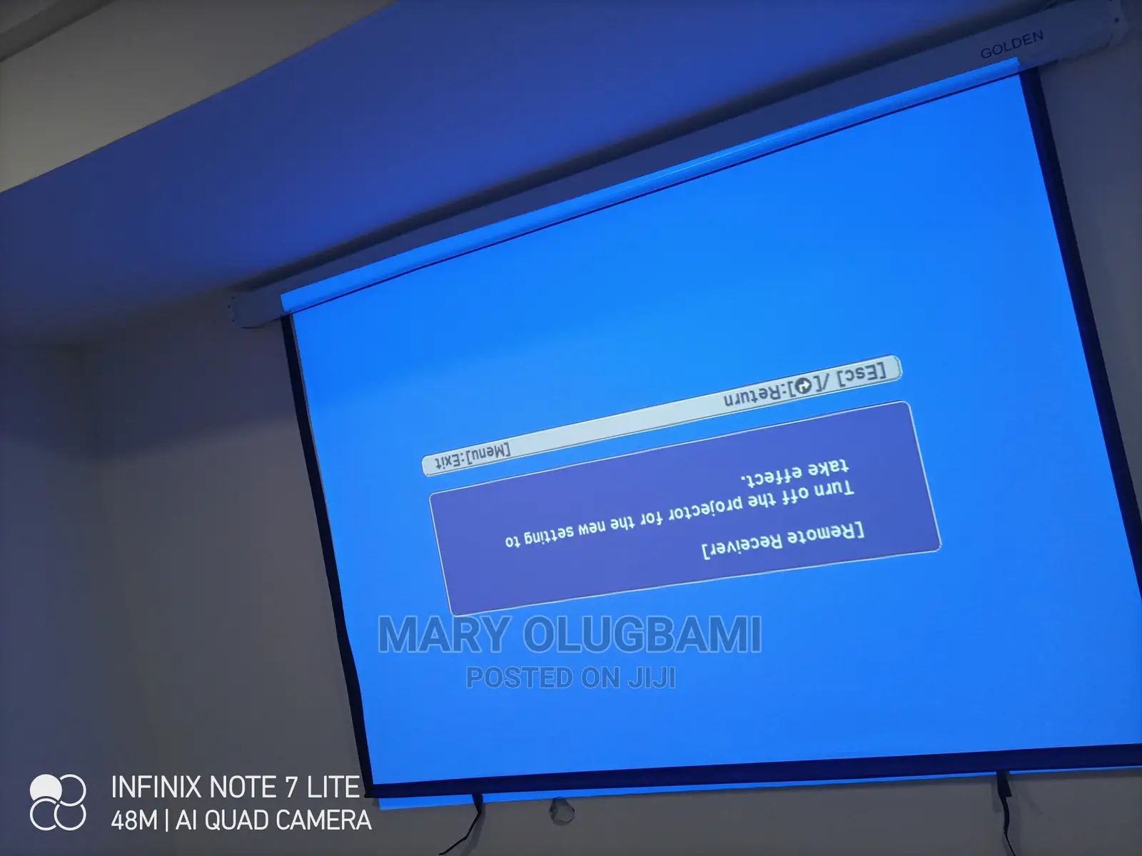 Sharp Epson Projector and Screen
