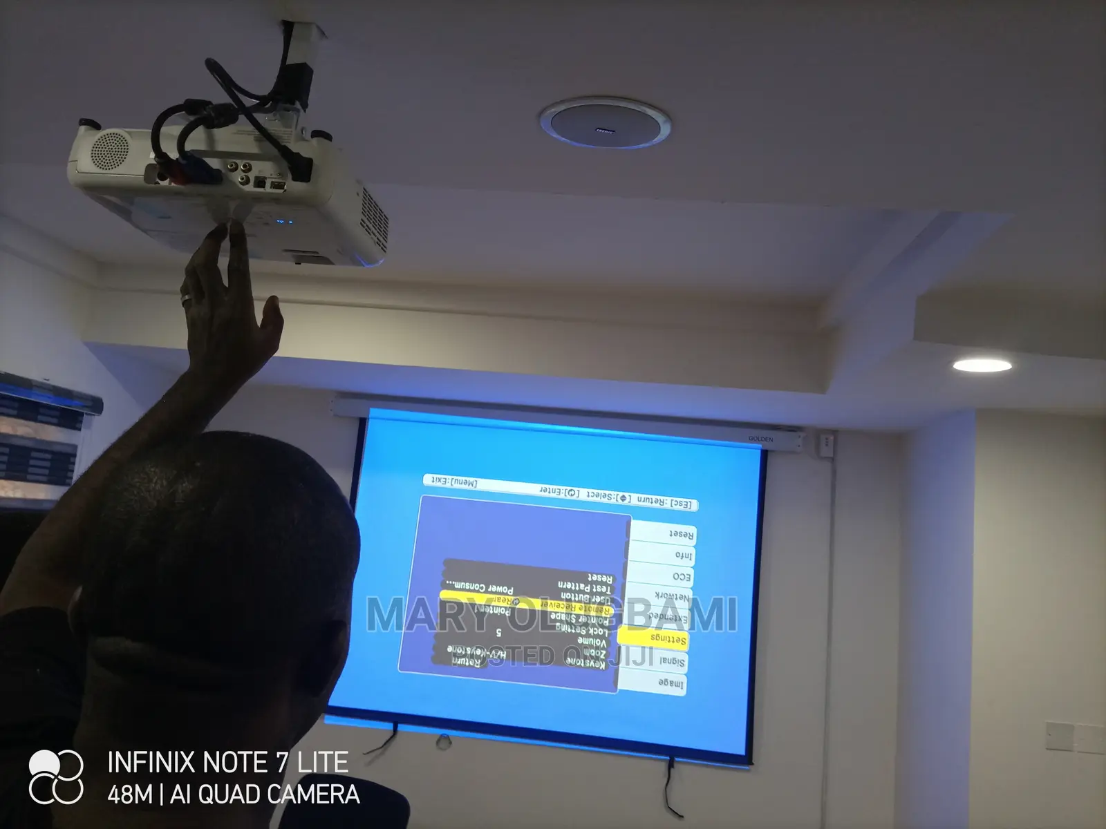 Sharp Epson Projector and Screen