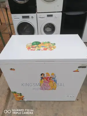 Chest Freezer 220l