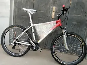 Giant Sport Bicycle Big Tyre