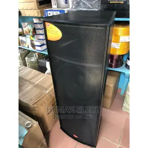 Double Professional Speaker