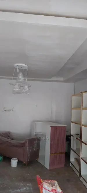 Wall Screeding/Plasterboard/Lightning