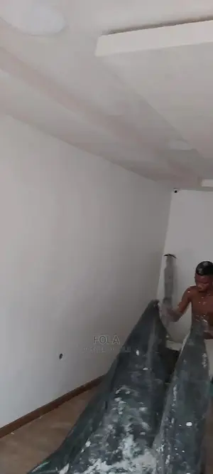 Wall Screeding/Plasterboard/Lightning
