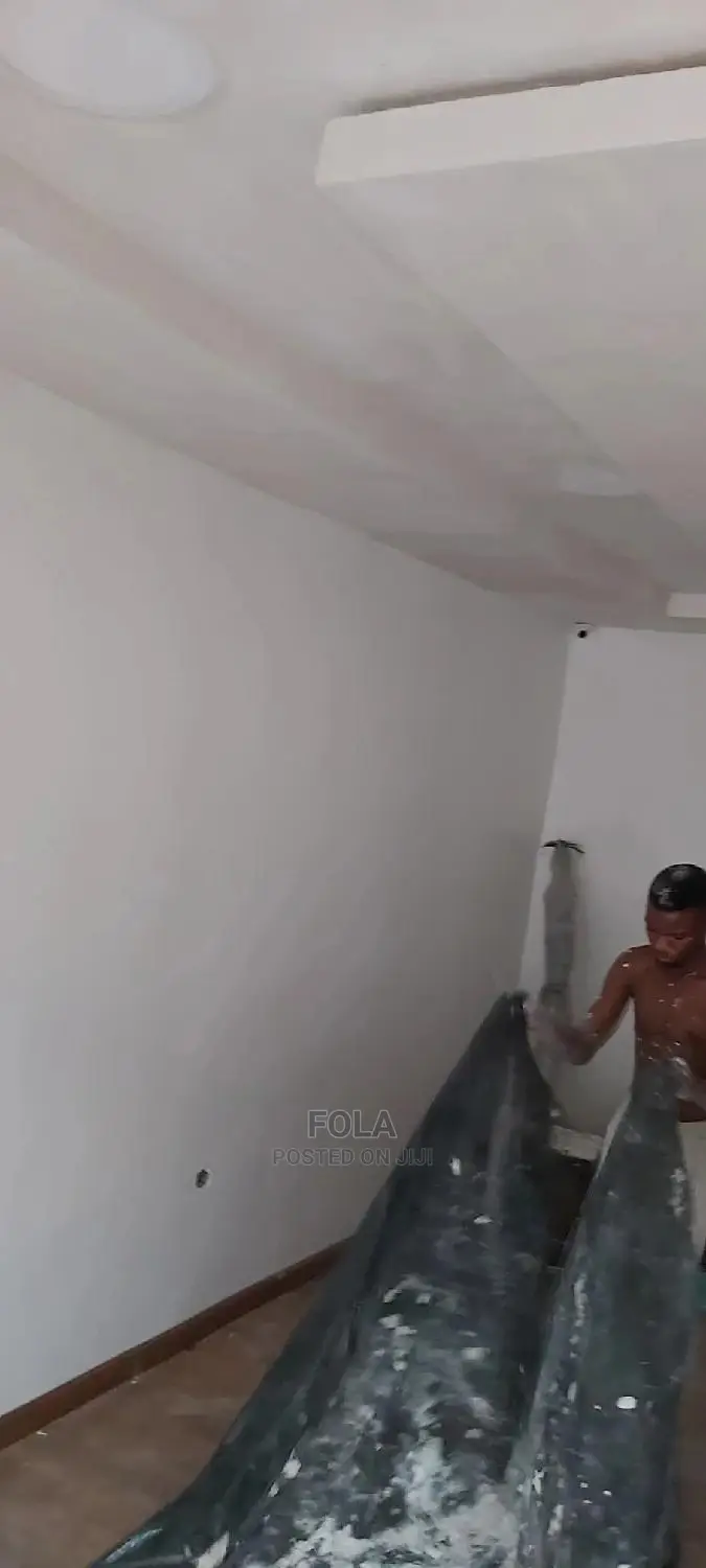 Wall Screeding/Plasterboard/Lightning