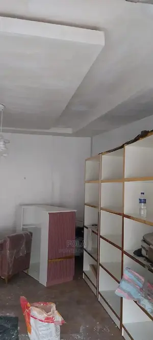 Wall Screeding/Plasterboard/Lightning