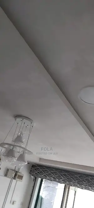 Wall Screeding/Plasterboard/Lightning