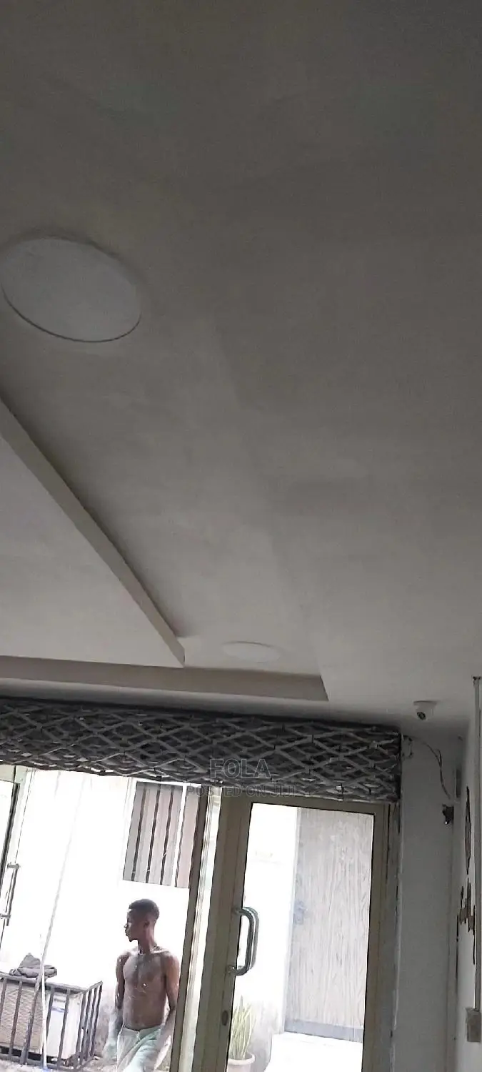 Wall Screeding/Plasterboard/Lightning