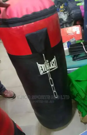 Brand New Punching Bag Available