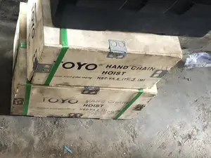 5ton X3meters Chain Block/Hoist Toyo