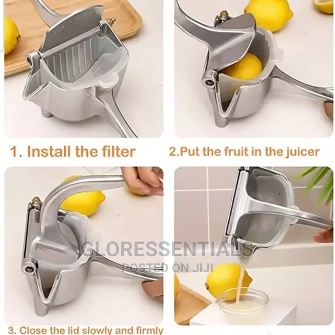 Fruit Press Juicer