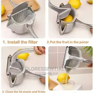 Fruit Press Juicer