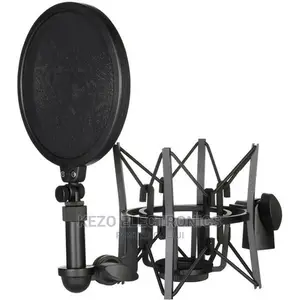 Shock Mount And Pop Filter
