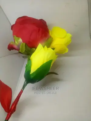 Beautiful Rose Flowers for Loved Ones 04