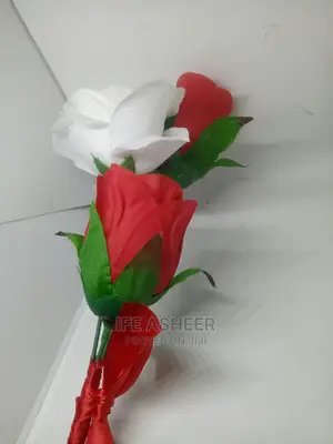Beautiful Rose Flowers for Your Loved Ones 02