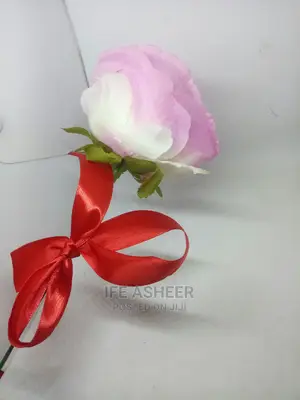 Beautiful Rose Flower for Your Loved Ones 06 - Pink