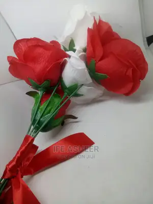 Beautiful and Exotic Rose Flowers for Your Loved Ones 07