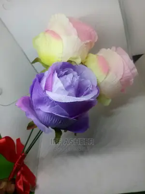 Beautiful Rose Flowers for Loved Ones 09 - Pink Purple