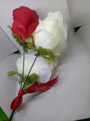 Exotic Beautiful Rose Flowers for Loved Ones 011