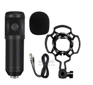 Studio Condenser Microphone