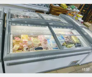 New Island Freezer Ice Cream Chiller Frozen Food Freezer