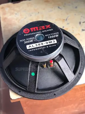 OMAX Al 389-9m3 Naked Speaker
