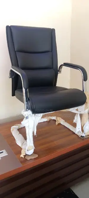 Unique Visitor Chair