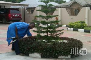 Good News Horticulture Landscaping