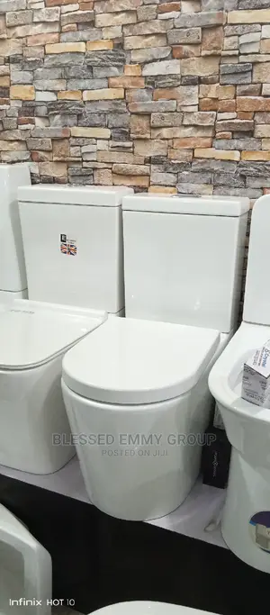 Biggest Size Round Wc and the Wash Hand Basin and Pedestal
