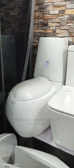 Egg Shape WC and the Wash Hand Basin and Pedestal