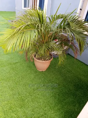 Carpet Synthetics Green Grass