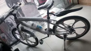 Adult Riding Exercise Bike