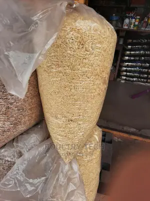 Plain Indomie Noodles for Dog