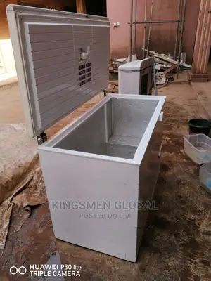 German Freezer for Frozen Food Business