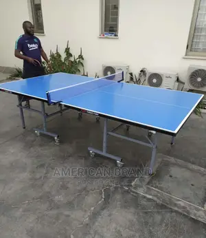 Arrived New Outdoor/Waterproof Table Tennis Board