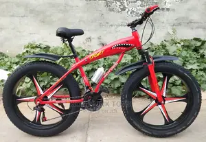 Big Tire Bicycle