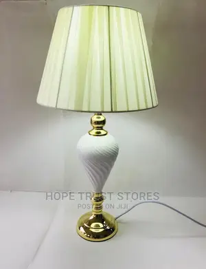 Elegant Bed Side/Desk Lamp
