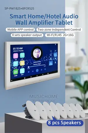 Biggest Smart Wall Music Control 10" With Wifi , Bluetooth